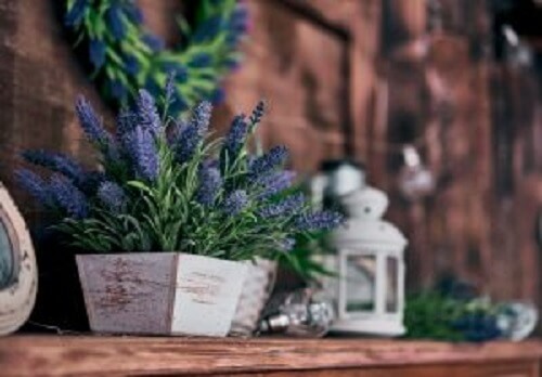 ベランダガーデニング