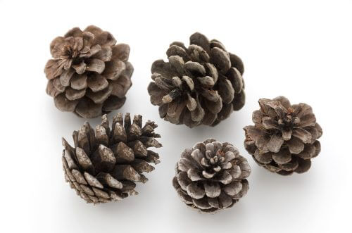 秋の手作りリース