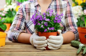 石を使ってフラワーポットを飾ってみよう