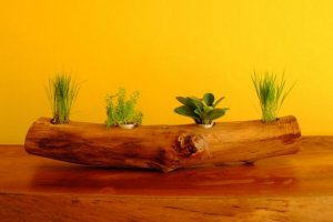 木の幹 植木鉢 作り方