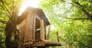 子供のための家づくり:夢のツリーハウス