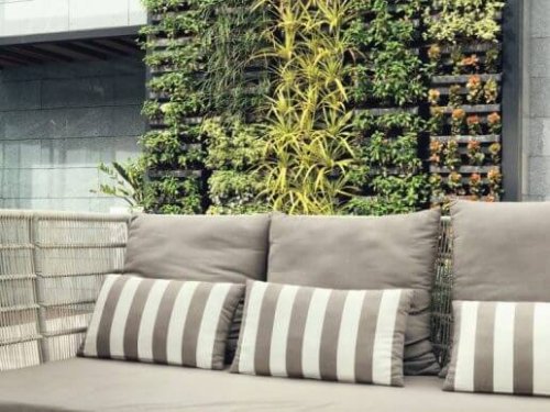 ソファ後ろのウォールガーデン ウォールガーデン お手入れ 方法