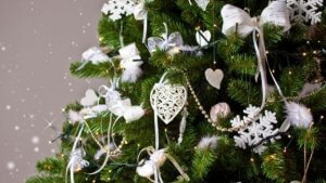 クリスマスツリーの選び方