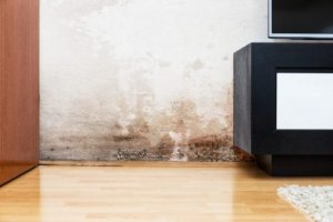 壁の湿気対策について:健康に影響を及ぼす湿気の原因とは?