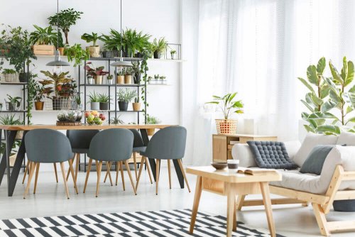 春を感じるダイニング