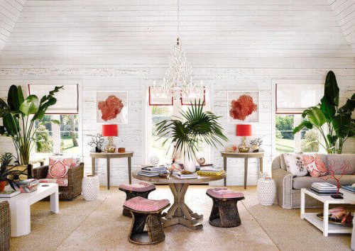 植物を取り入れた広々とした部屋