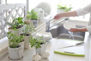 植物を使ったキッチンのインテリアアイディア8選