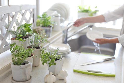 植物を使ったキッチンのインテリアアイディア8選