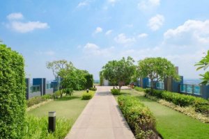 グリーンルーフについて知っておくべきこと