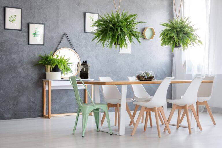 シダ植物:新しく刺激的なインテリアのトレンド ダイニングルーム