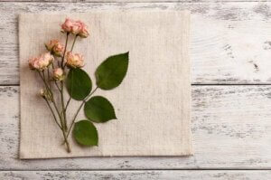 【ボタニカル入門】ドライフラワーにするのに適したお花とは?