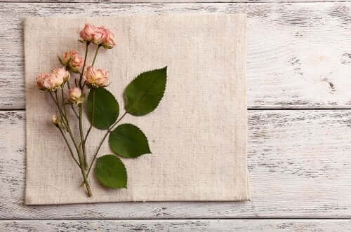 【ボタニカル入門】ドライフラワーにするのに適したお花とは？