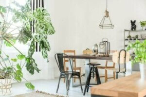 【自然を自宅に!】植物を使ったインテリアコーディネート