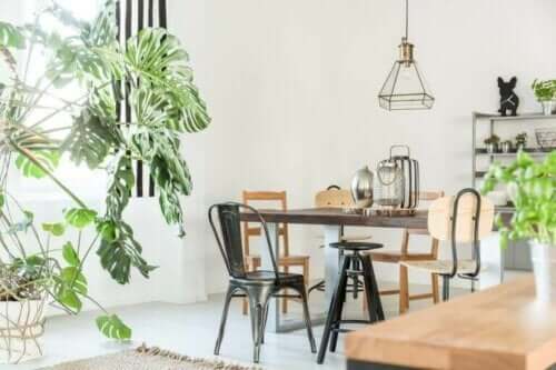 【自然を自宅に！】植物を使ったインテリアコーディネート