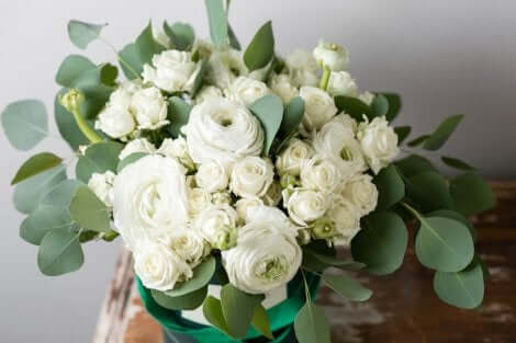 ドライフラワー