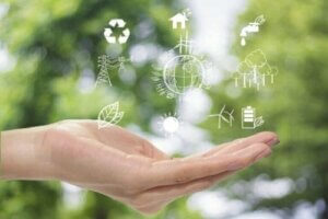 【環境と生活】持続可能な世界を実現するためのインテリア