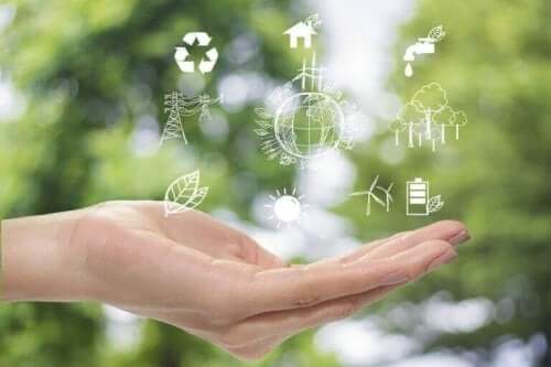 【環境と生活】持続可能な世界を実現するためのインテリア
