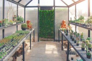 家庭用温室を使って楽しく植物を育てみませんか?