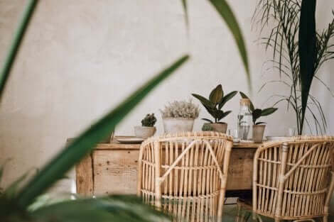 2020年 インテリア トレンド