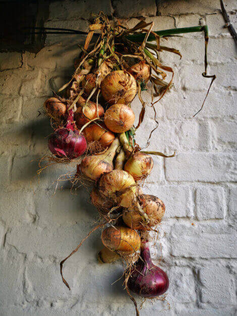 ドライフルーツと野菜で作るデコレーション
