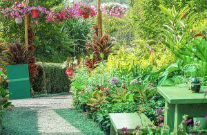 庭 植物につく害虫や病気を予防する方法