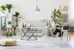 植物を美しく保つための基本的な世話の仕方