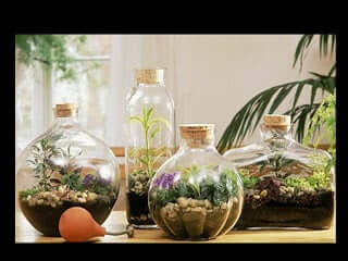 DIY ボトルガーデン